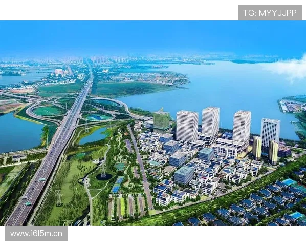 合肥企业家创新引领城市高质量发展推动区域经济腾飞的新引擎